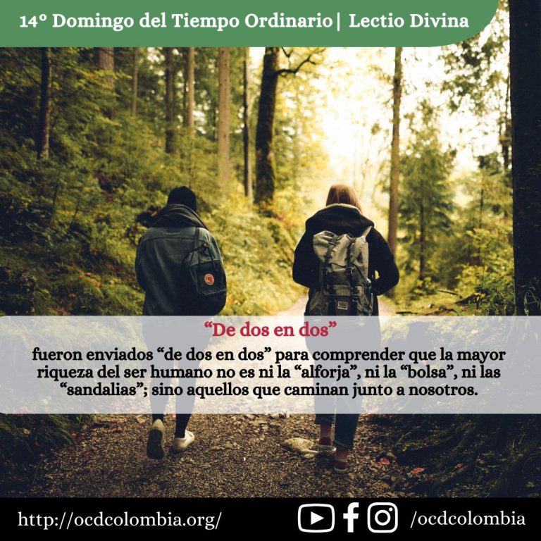 14 Tiempo Ordinatioa