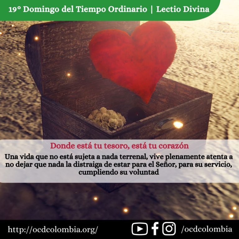 19 semana tiempo ordinario