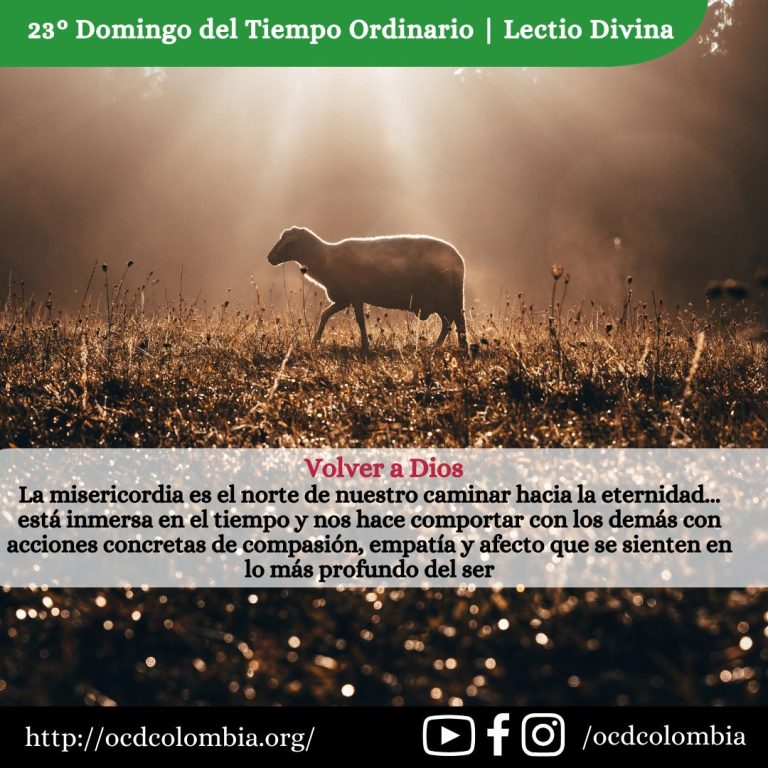 24 semana tiempo ordinario (1)