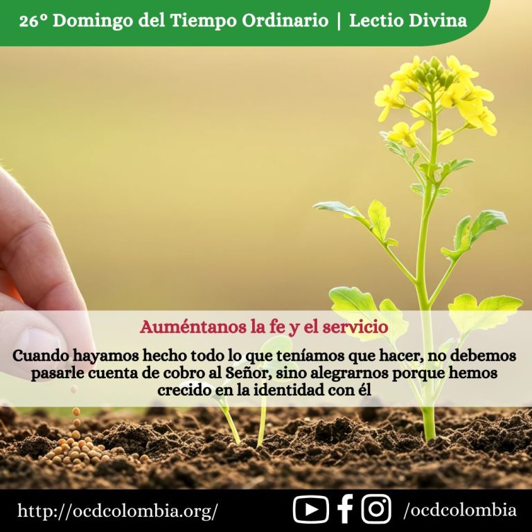 27 semana tiempo ordinario